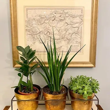 Apartment Old Designer Luxury Riga